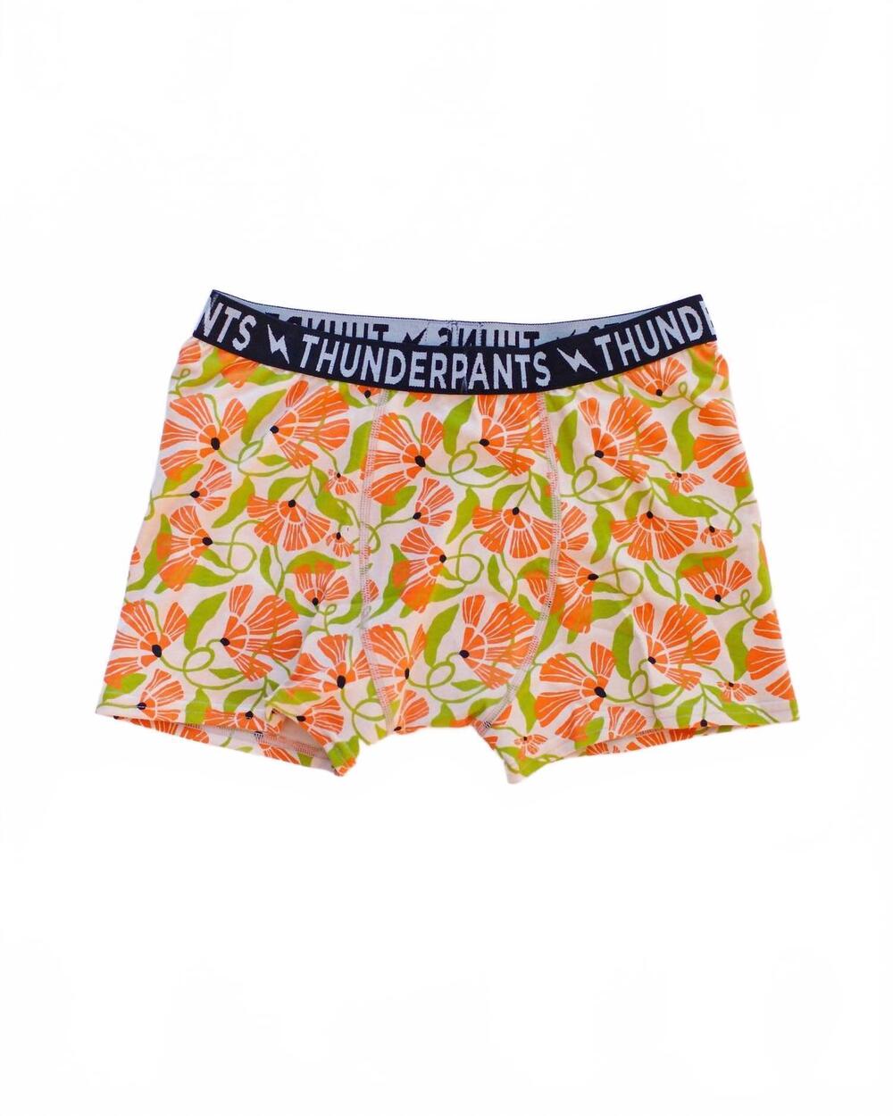 NEW THUNDERPANTS USA unisex mid-rise boxer brief in secret garden